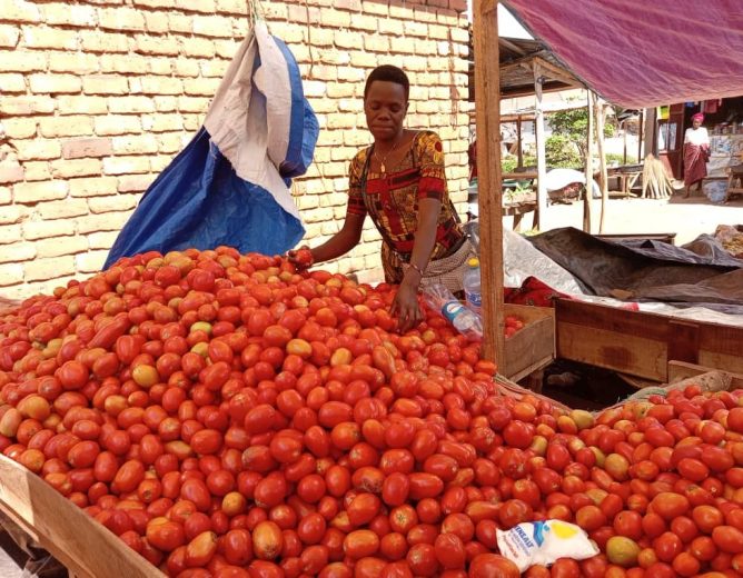 AGYW in her business area Kagongwa Mwendakulima 2